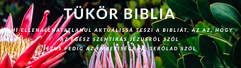 tukor biblia